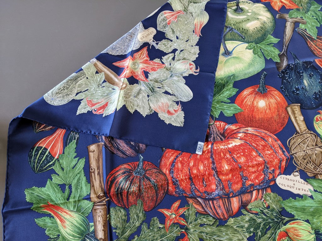 Hermes 1998 Navy Citrouilles et Coloquintes by Valerie Dawlat with Blanc Matt Overlay Twill 90cm Mint!