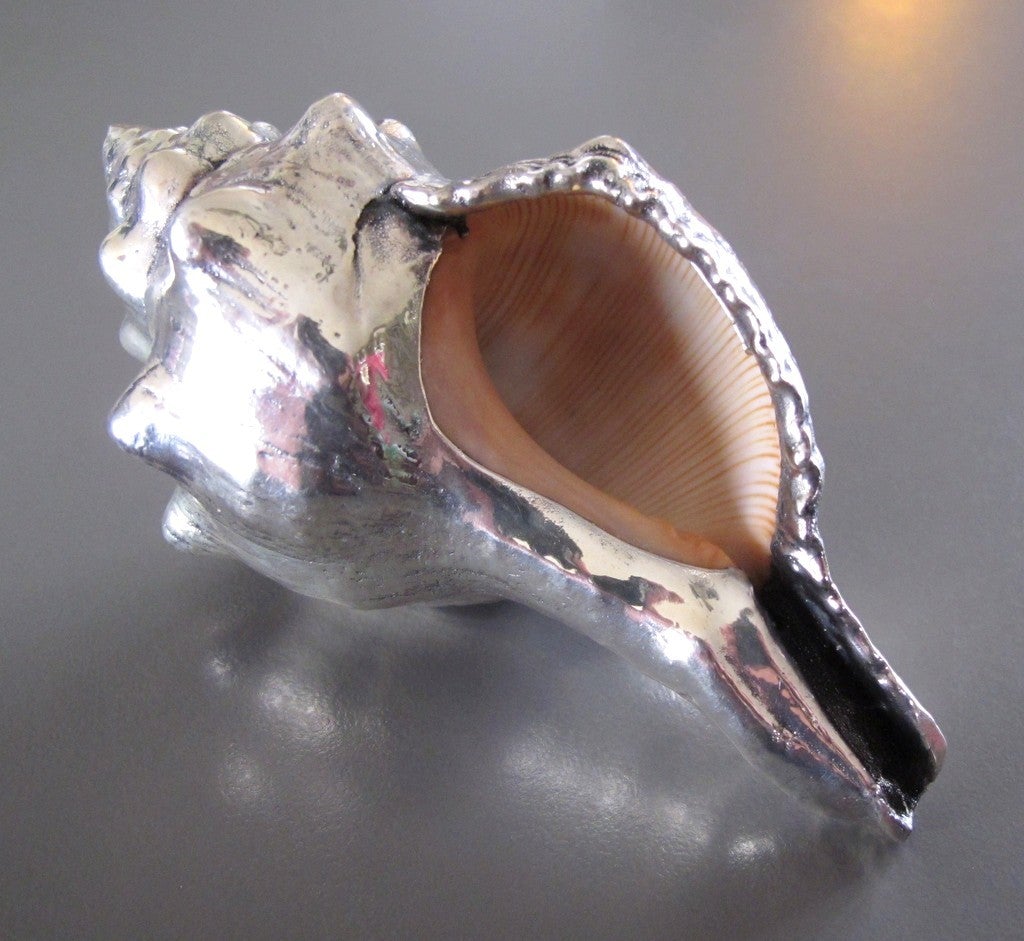 Buccellati Federico Milan Sterling Silver 925 Coated Conch Shell ...