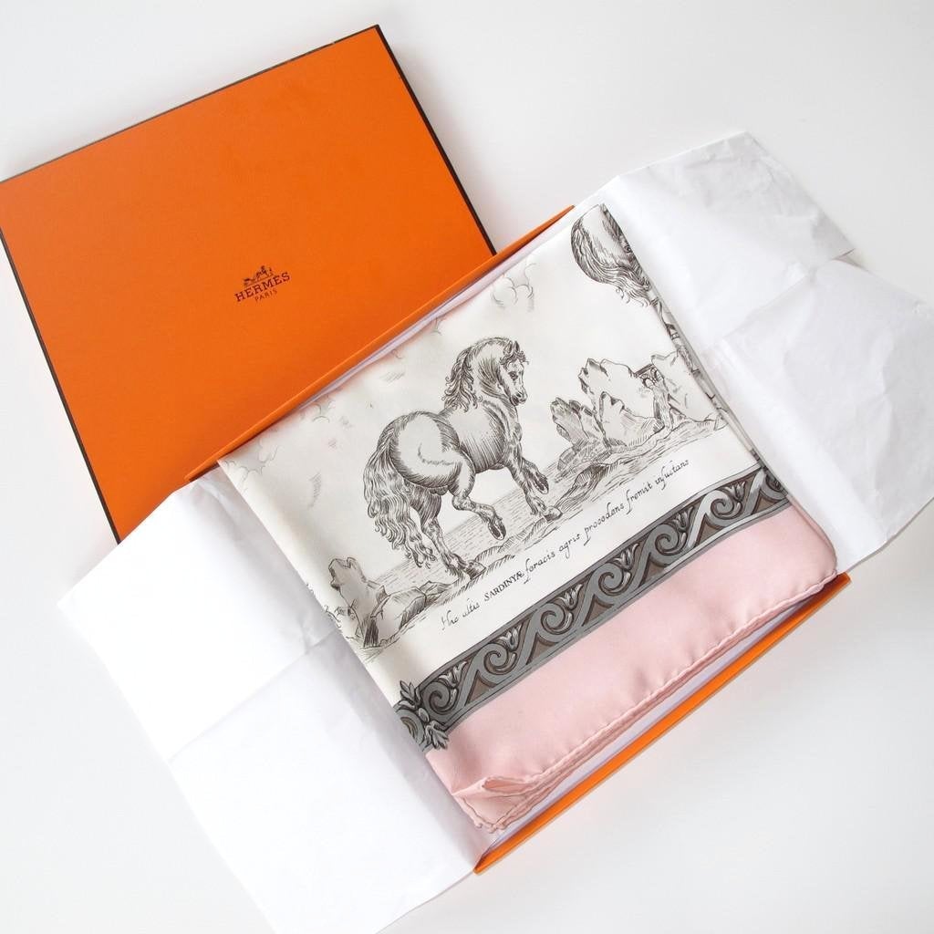 Hermes 1992 Pink Courbettes et Cabrioles 1654 Twill 90 Box!