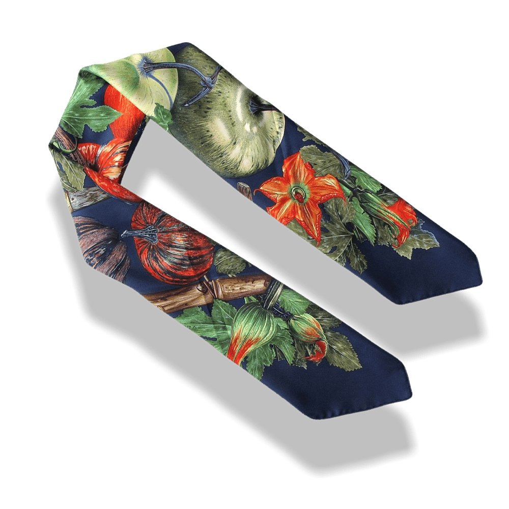 Hermes Citrouilles et Coloquintes by Valerie Dawlat with Blanc Matt Overlay Twill 90