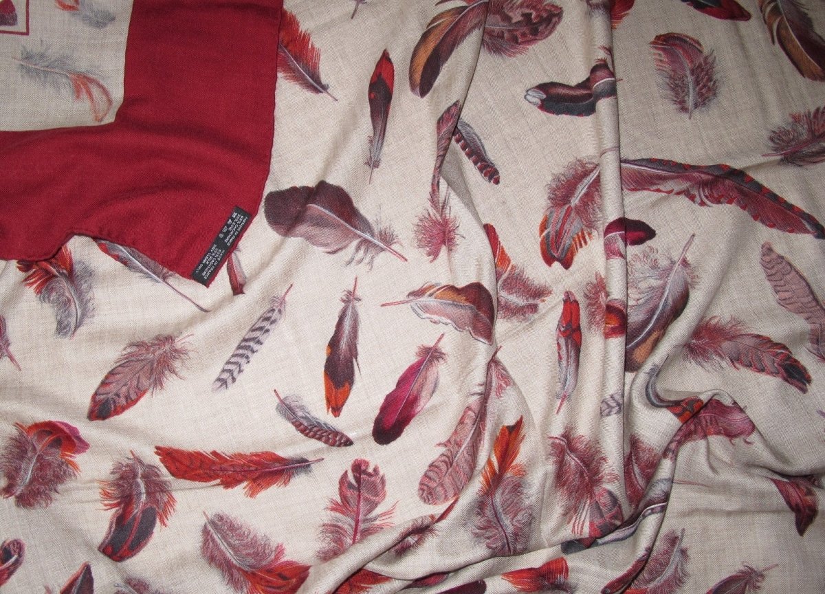Hermes Plumes by Henri de Linares Cashmere Shawl 140