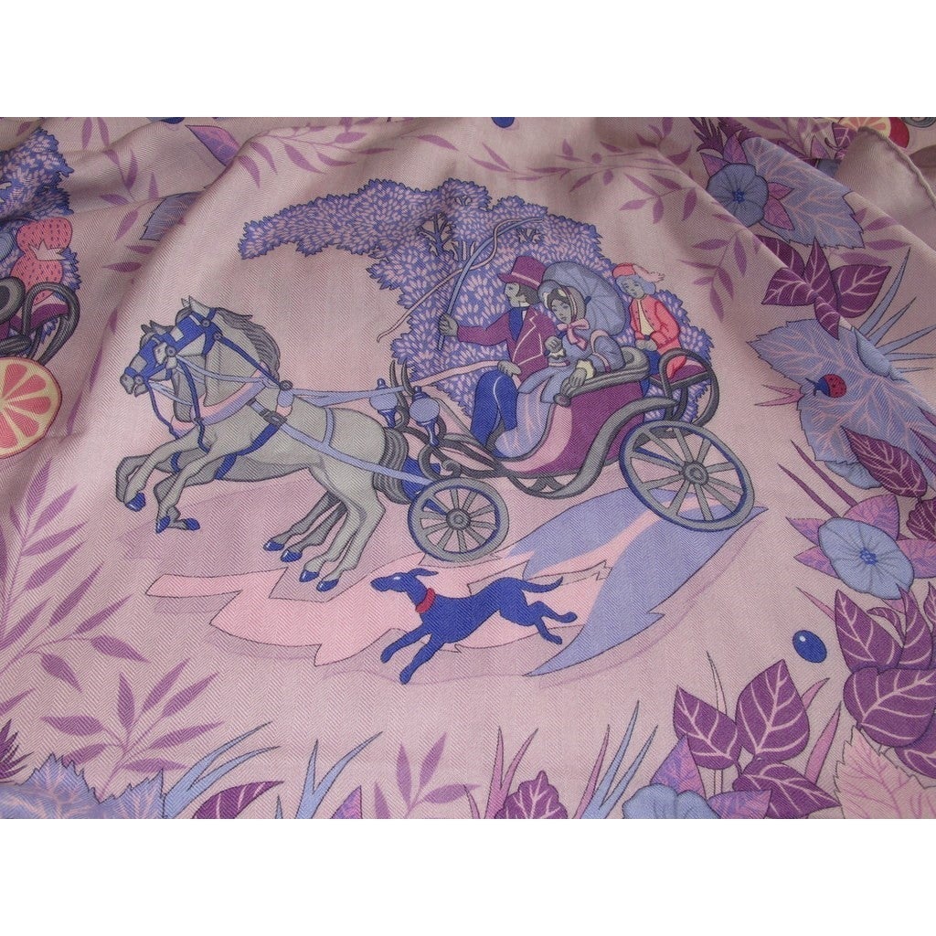 Hermes De la Citrouille a la Caleche Shawl Rare!
