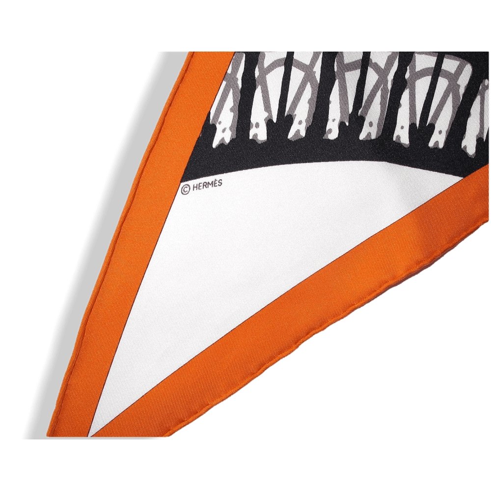  Hermes 2005 Special Issue Orange Boîte au Vol Twill Silk Pointu