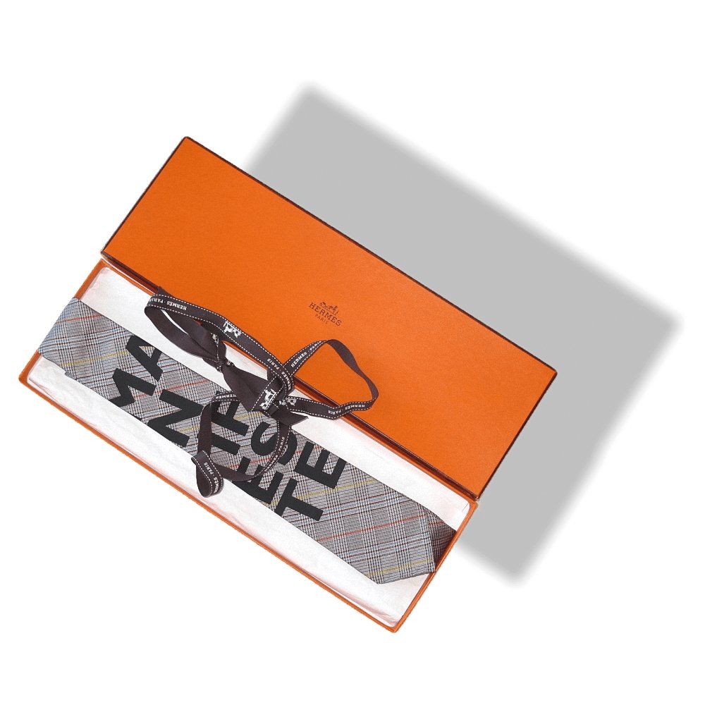 Hermes 2006/07 Campaign VIP Limited Edt Prince de Galle Manifeste Silk Tie, NIB! - poupishop