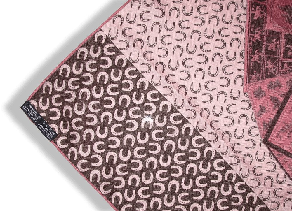 Hermes A Cheval Sur Mon Carre by Bali Barret Cashmere Shawl 140