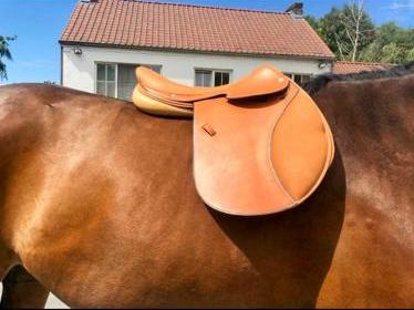 Hermes 2008 Pets Naturel/Sable Bull Calf CLASSIC ORIENTED JUMPING SADDLE, Sz 17" New!