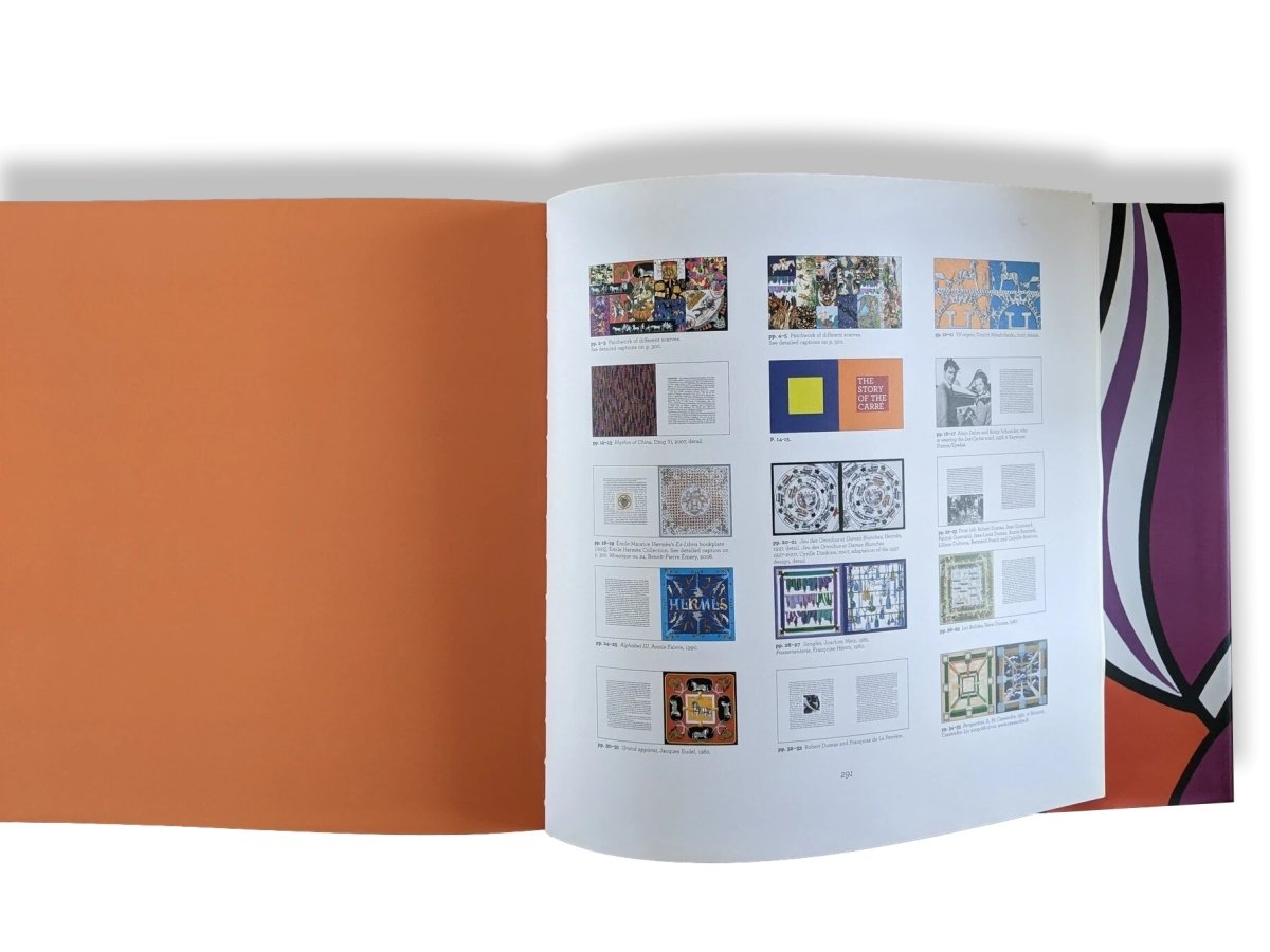 Hermes 2009 THE HERMES CARRE Book by Nadine Coleno, Editions du Regard, Mint! - poupishop
