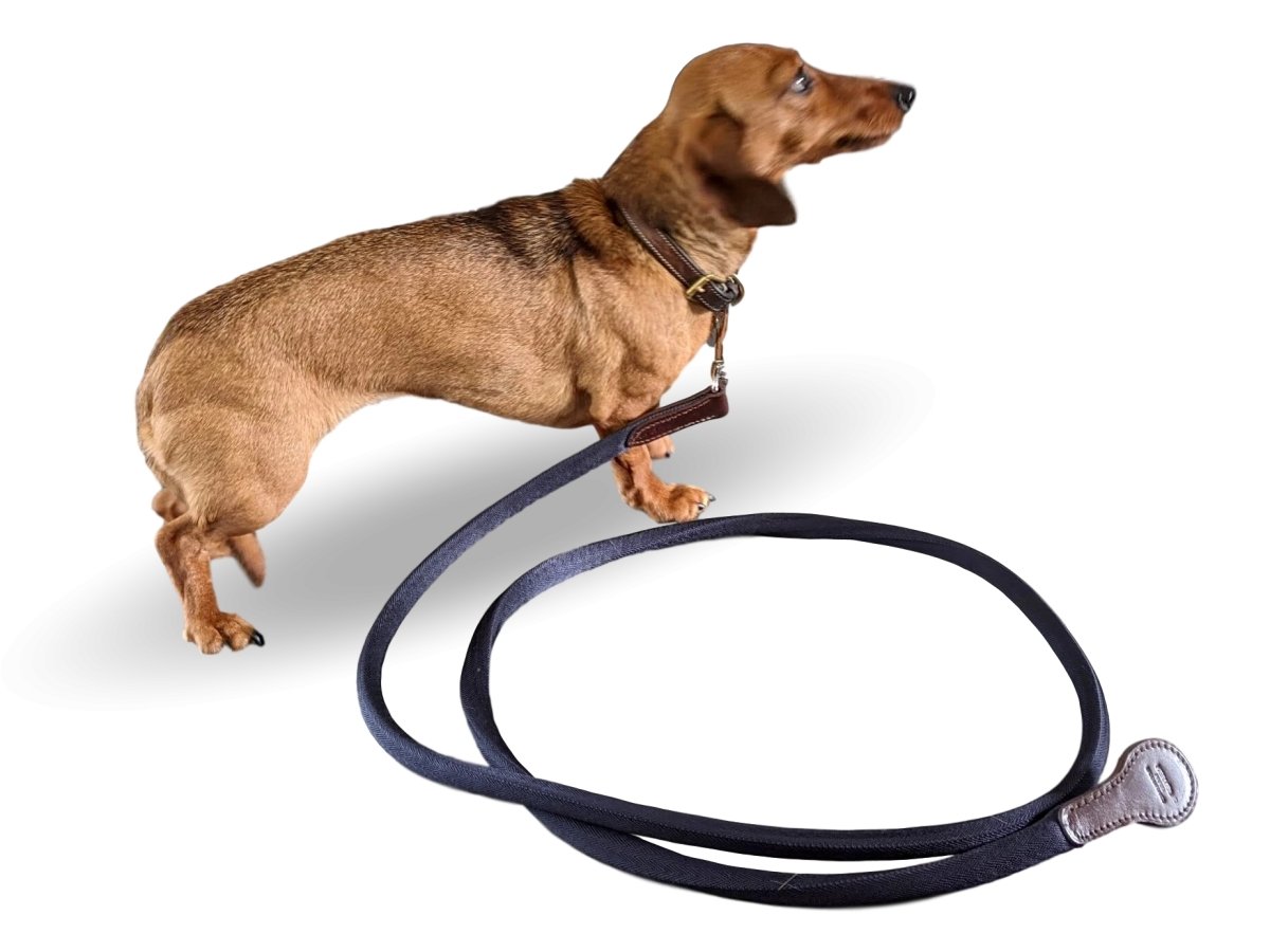Hermes 2011 Pets Dog/Horse Walking Rope, Mint!