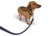 Hermes 2011 Pets Dog/Horse Walking Rope, Mint!