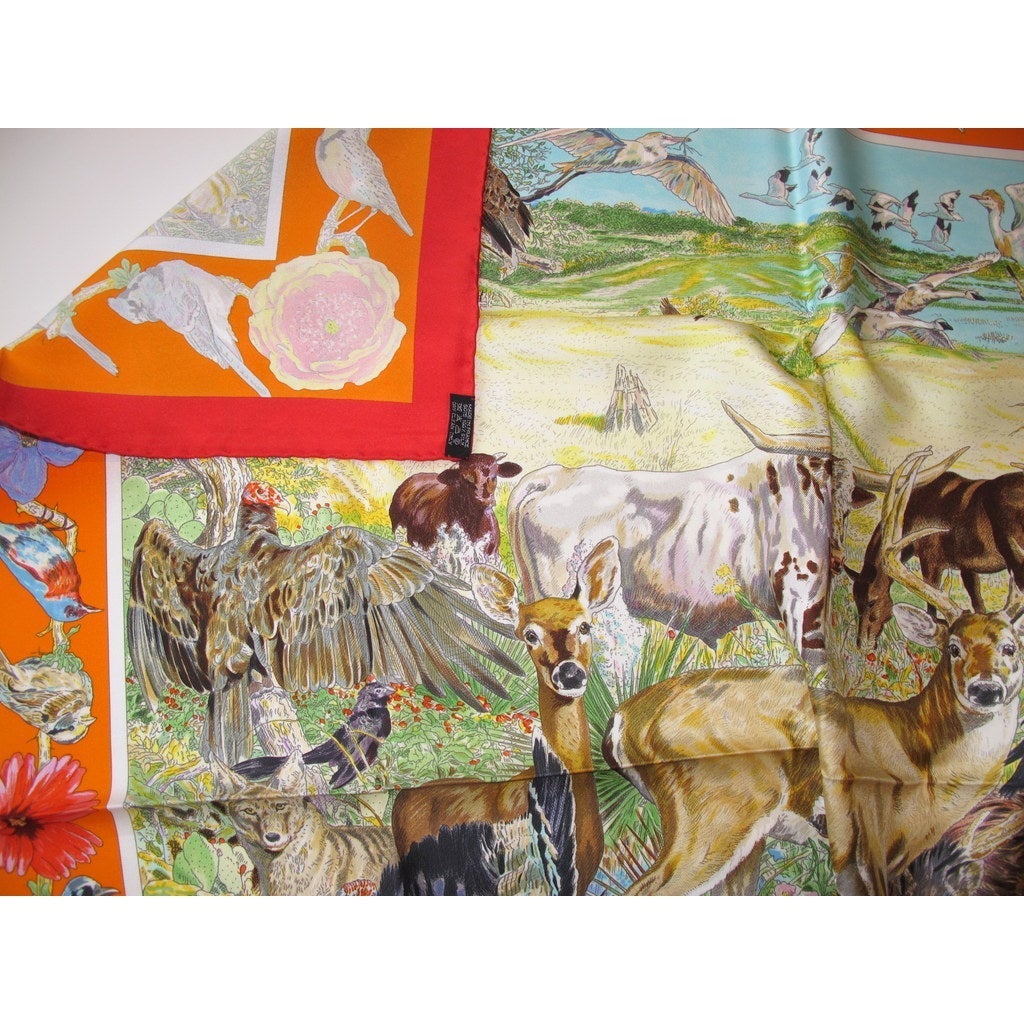 hermes La vie sauvage du Texas  Kleberg Wildlife Research Institute 