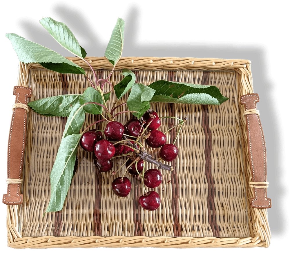 Hermes Natural with Dark Brown Stripes OSERAIE Wicker Tray with Leather Handles TPM, NIB! - poupishop