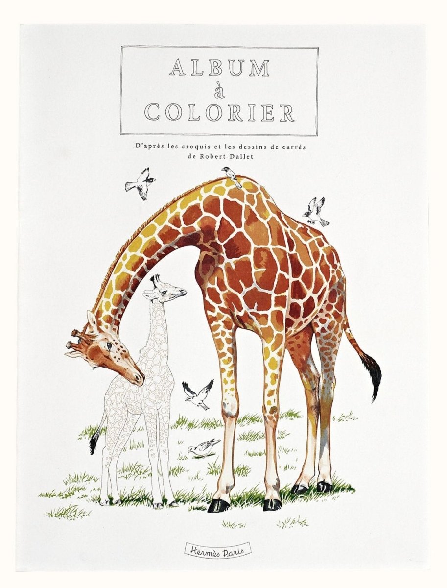 Hermes Papier PETITS FELINS from Robert Dallet Coloring Book, Sealed and New! - poupishop