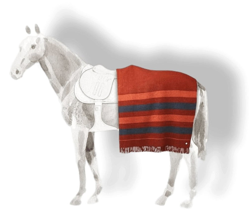 Hermes Pets Red H Horse Fringed Wool Saddle Blanket Plaid ROCABAR 150 x 200, BNEW! - poupishop