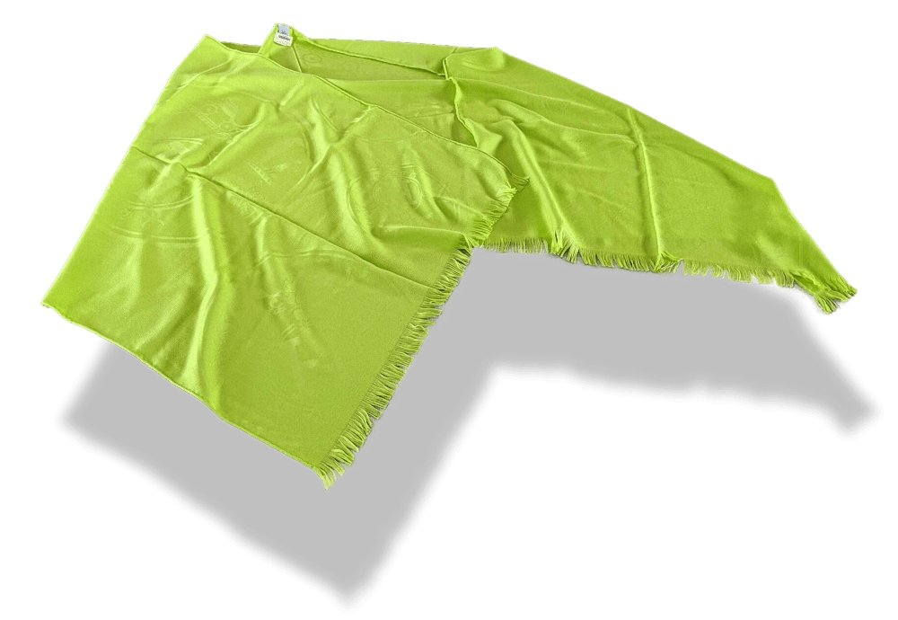 Hermes Pistachio Green ETOLE NEW LIBRIS CONFESSIONS D'EX-LIBRIS Muffler Fringed 85% Cashmere/15% Silk 75 x 210 cm, BNWT! - poupishop
