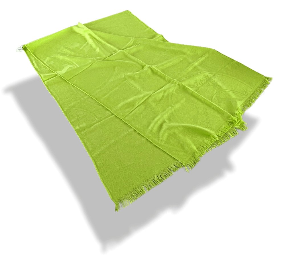Hermes Pistachio Green ETOLE NEW LIBRIS CONFESSIONS D'EX-LIBRIS Muffler Fringed 85% Cashmere/15% Silk 75 x 210 cm, BNWT! - poupishop