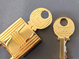 Hermes Plated Gold CADENAS Key Lock 2 KEYS Nr 163 for Birkin Kelly, New and Perfect in Pochette! - poupishop