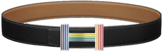 Hermes [100] Multicolore Brushed Palladium "Quizz Rainbow" Belt Buckle 38 mm