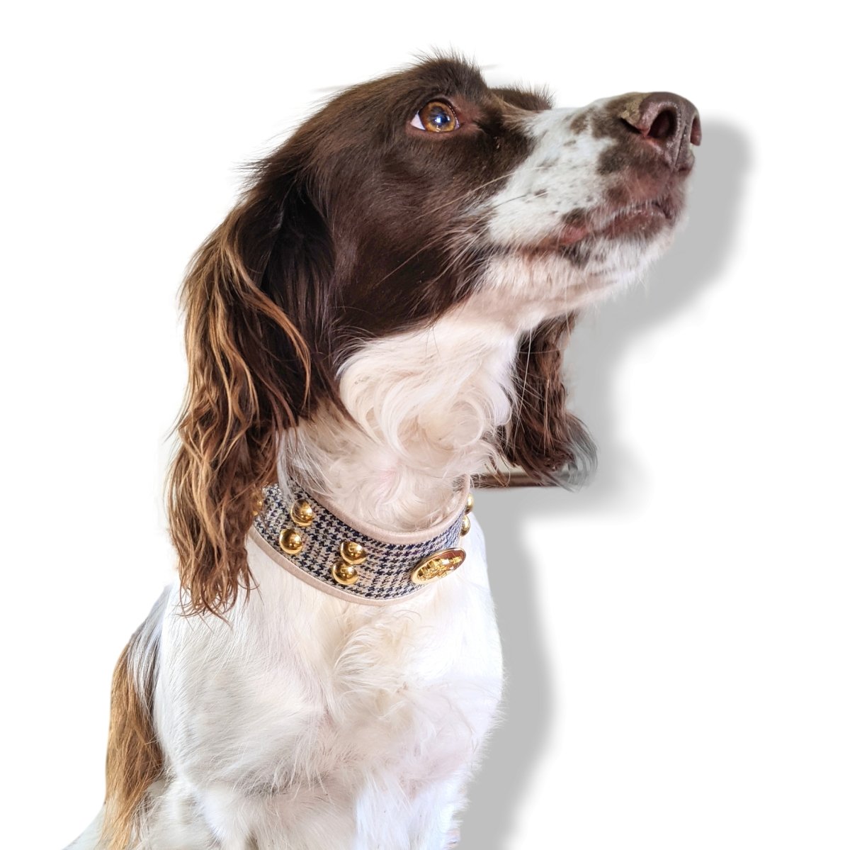 Hermes Vintage 1960s Tartan Cashmere/Calfskin Pets Dog Collar H Medium GHW, Rare! - poupishop